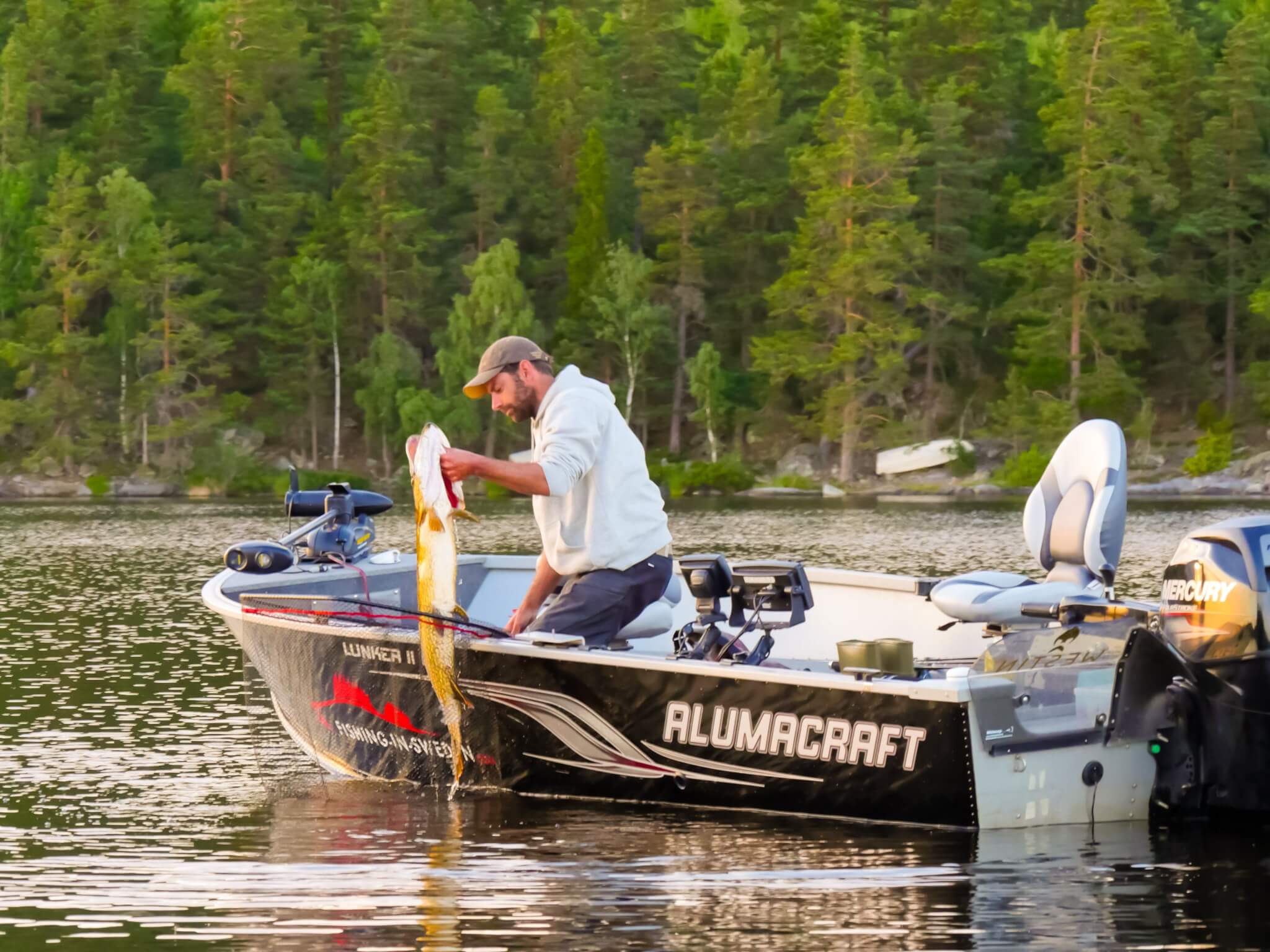 Summer pike fishing Sweden in our Alumacraft boat from WestGear AB.
